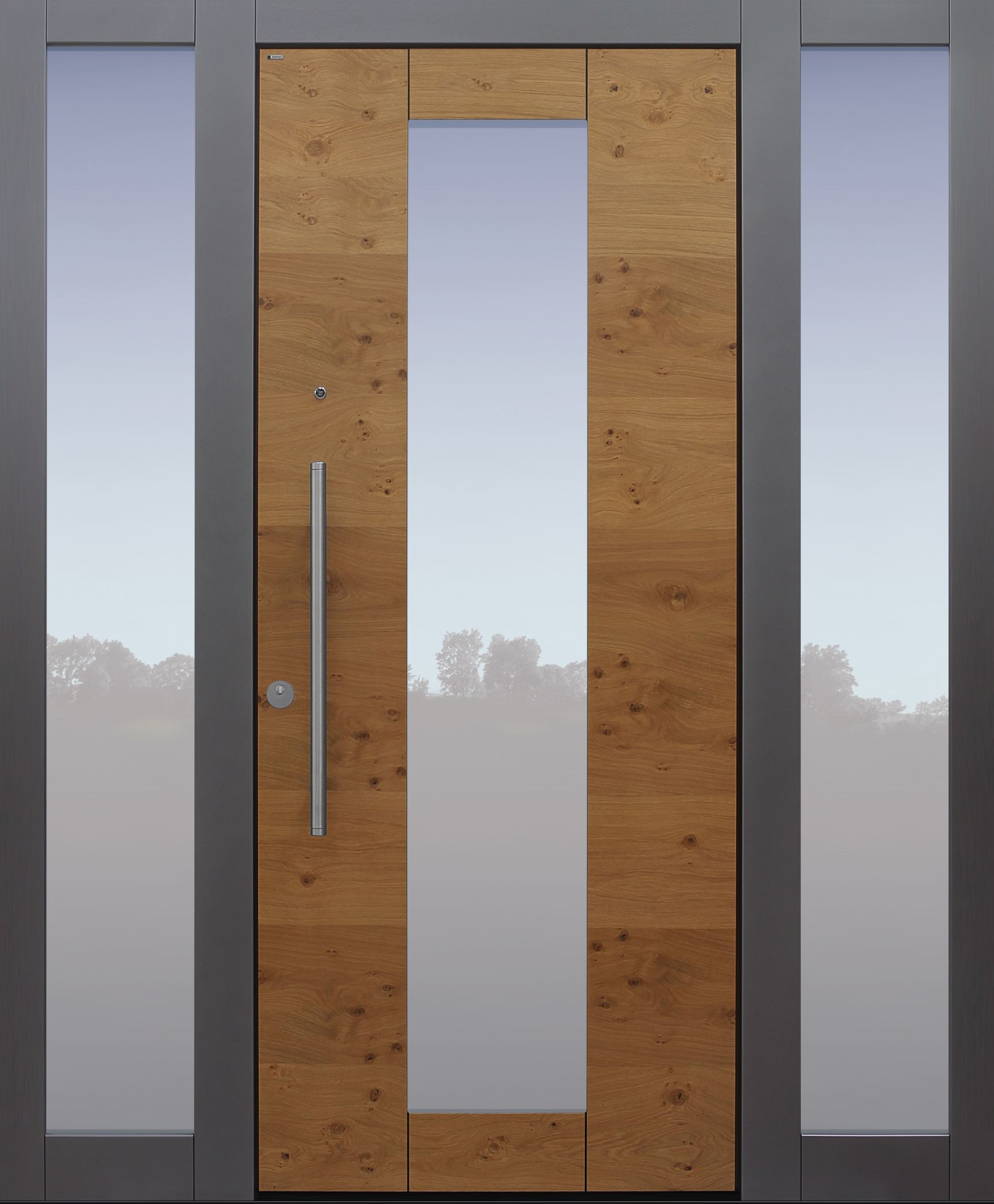 Haustur Holz Glas Modern - Heimidee